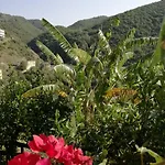 La Casa Sul Blu Diffuso Hotel Pisciotta