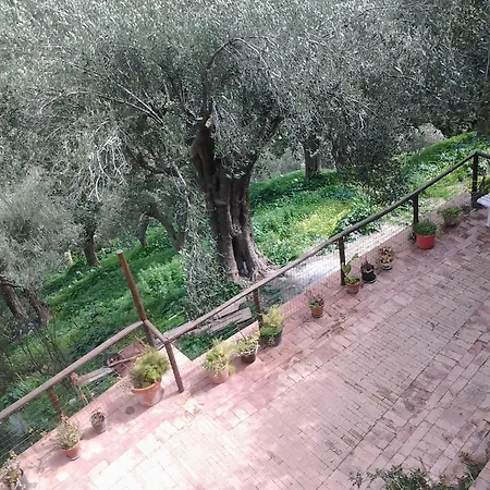 La Casa Sul Blu Diffuso Hotel Pisciotta