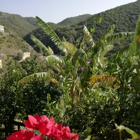 La Casa Sul Blu Diffuso Hotel Pisciotta
