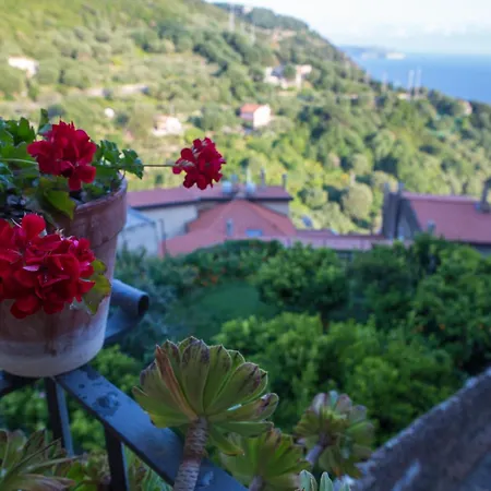 Hotel La Casa Sul Blu Diffuso
