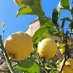 מלון La Casa Sul Blu Diffuso 3*