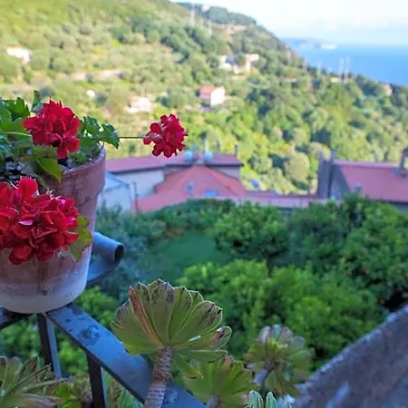Hotel La Casa Sul Blu Diffuso 3*
