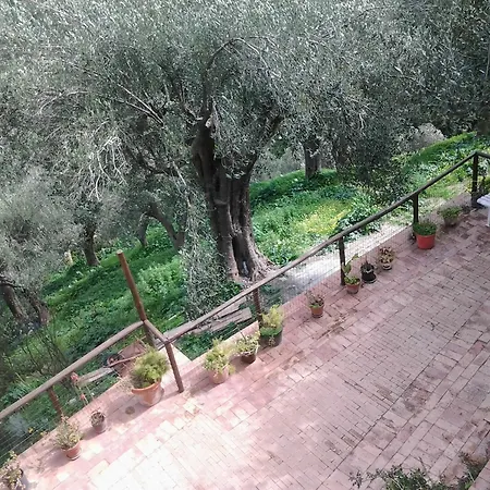 La Casa Sul Blu Diffuso Hotel Pisciotta